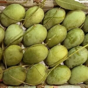 আম ২৫ কেজি