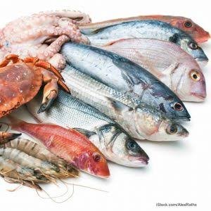 safe fish